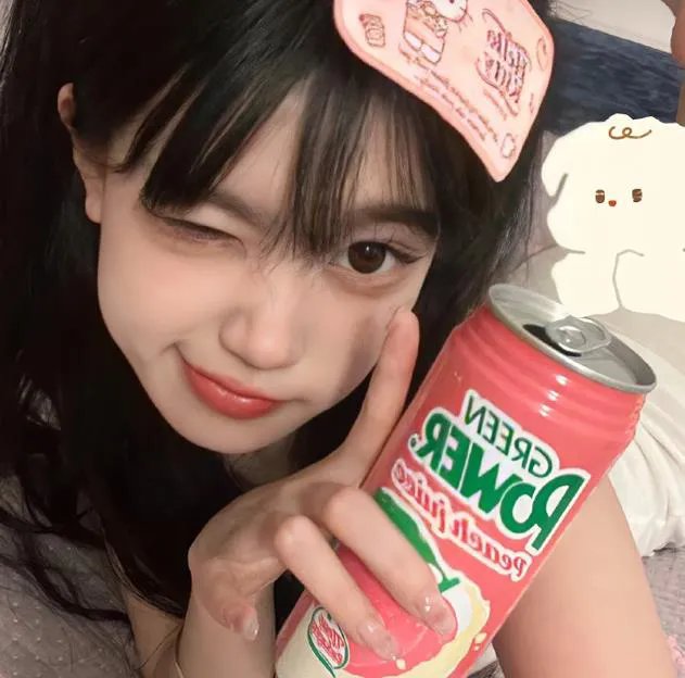 大象家族